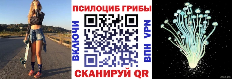 Галлюциногенные грибы Cubensis  Красноуфимск 